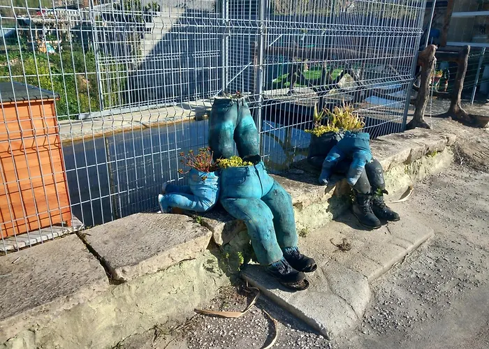 Aguas- Casa Amazonia Pt Accommodatie bij particulieren