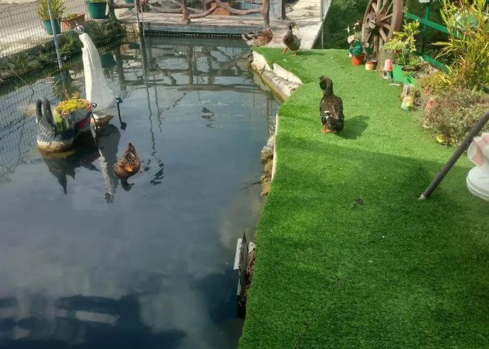 Aguas- Casa Amazonia Pt Accommodatie bij particulieren